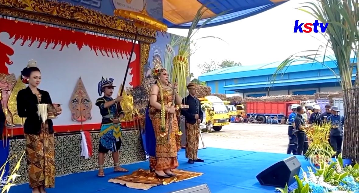Tradisi Manten Tebu Blitar: Simbol Doa dan Awal Musim Giling di Pabrik Gula RMI