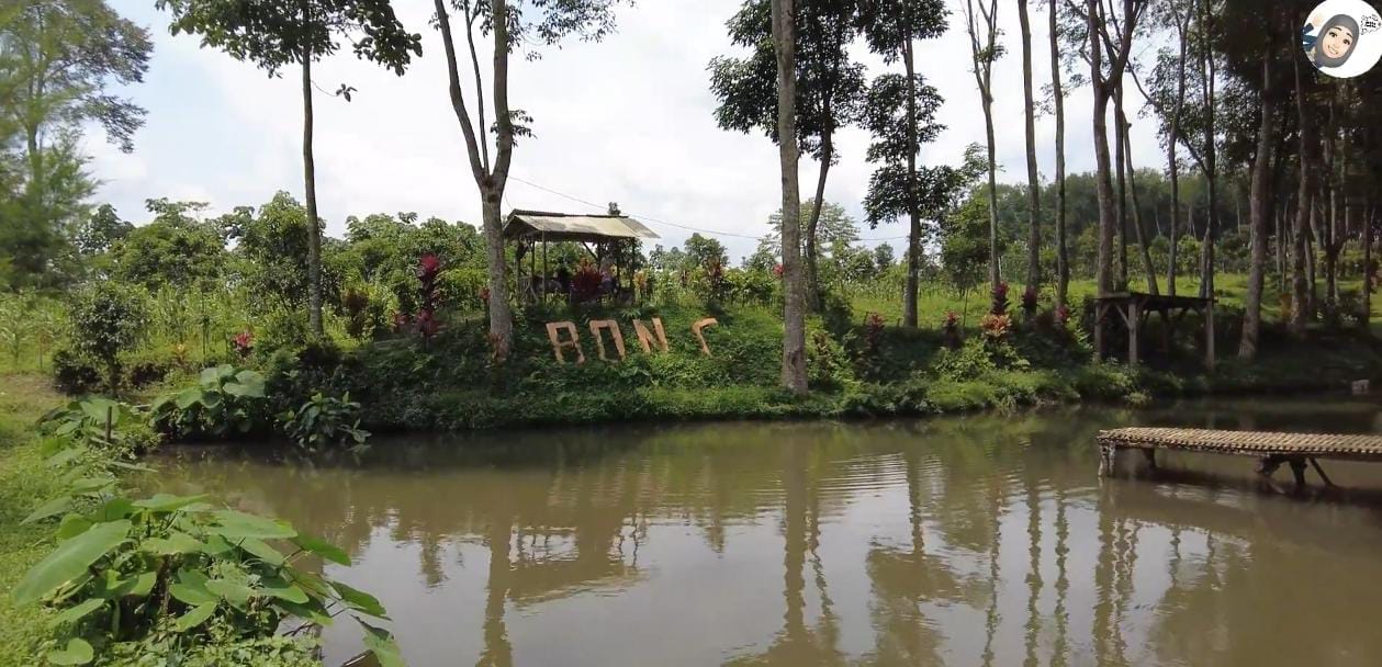 Sumber Mata Air Bonsi Blitar: Wisata Alam Baru yang Cocok untuk Healing dan Camping