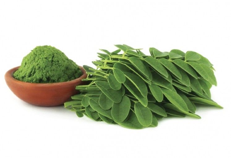 Daun kelor kaya nutrisi dan antioksidan: Bantu turunkan gula darah, lindungi hati serta ginjal, dan tingkatkan daya tahan tubuh.