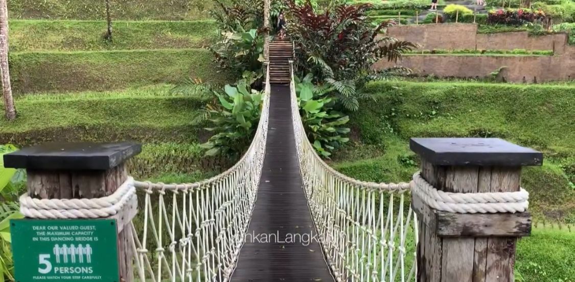 Keindahan Alas Harum Agrotourism dan Bebek Tepi Sawah yang Memikat Wisatawan