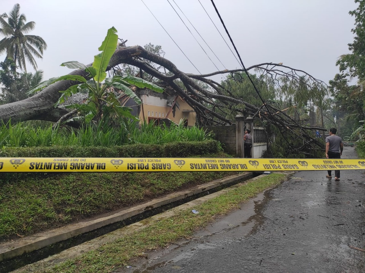 TERDAMPAK: Petugas gabungan sedang melakukan asesmen rumah yang terdampak bencana angin dan pohon tumbang di Desa Modangan, Kecamatan Nglegok, Senin (27/10/20).