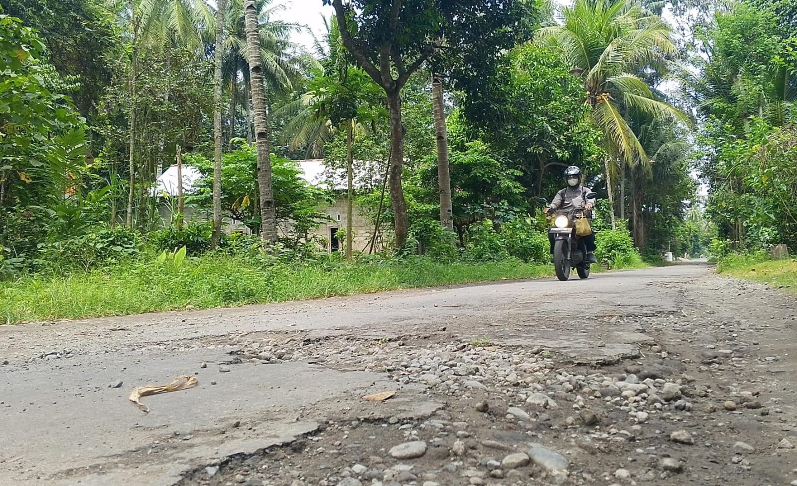 &lrm;BERLUBANG: Jalan sepanjang 1,3 kilometer yang jadi penghubung Desa Selokajang dengan Desa Maron rusak.