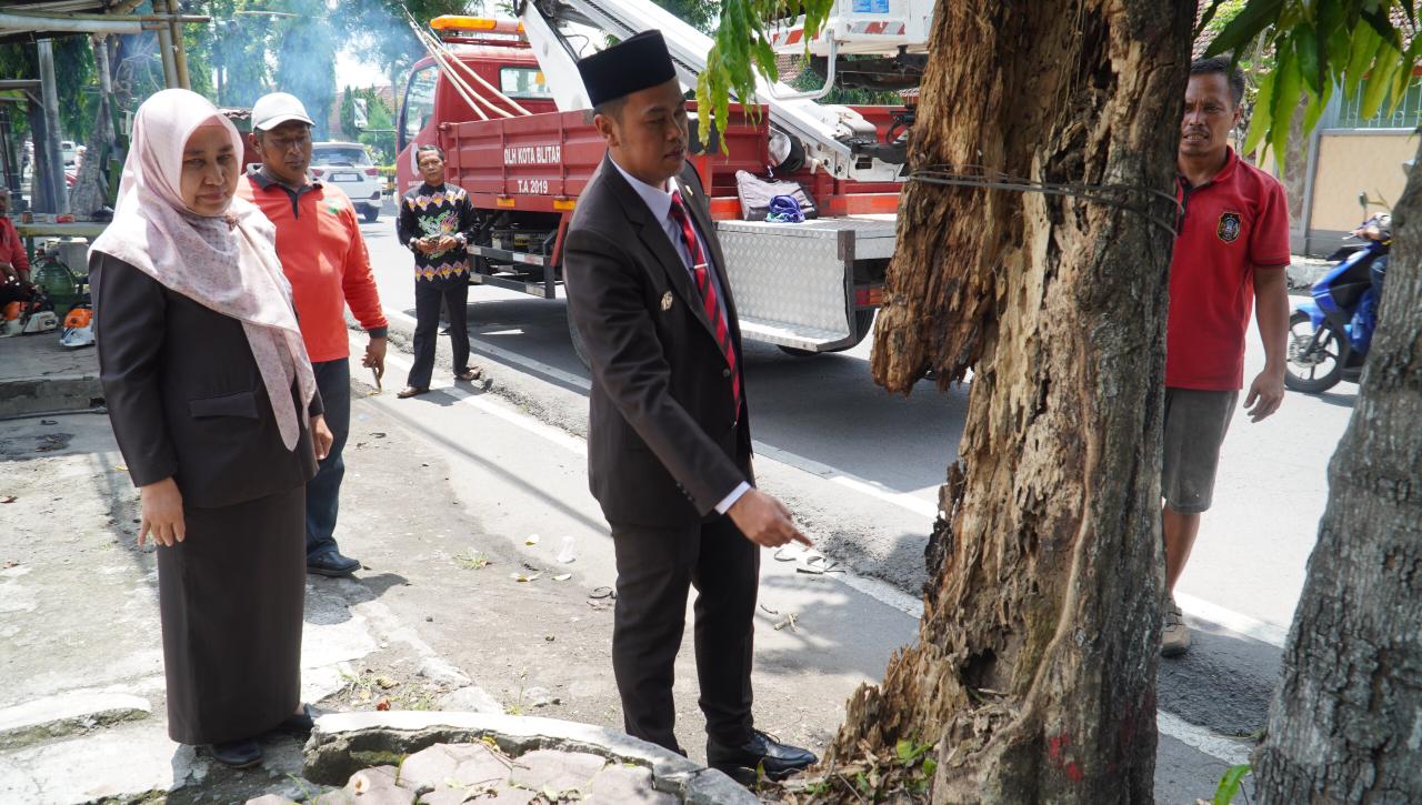 GERCEP: Wali Kota Blitar Mas Ibin bersama DLH mengecek pohon rawan tumbang dan langsung ditebang demi keamanan.
