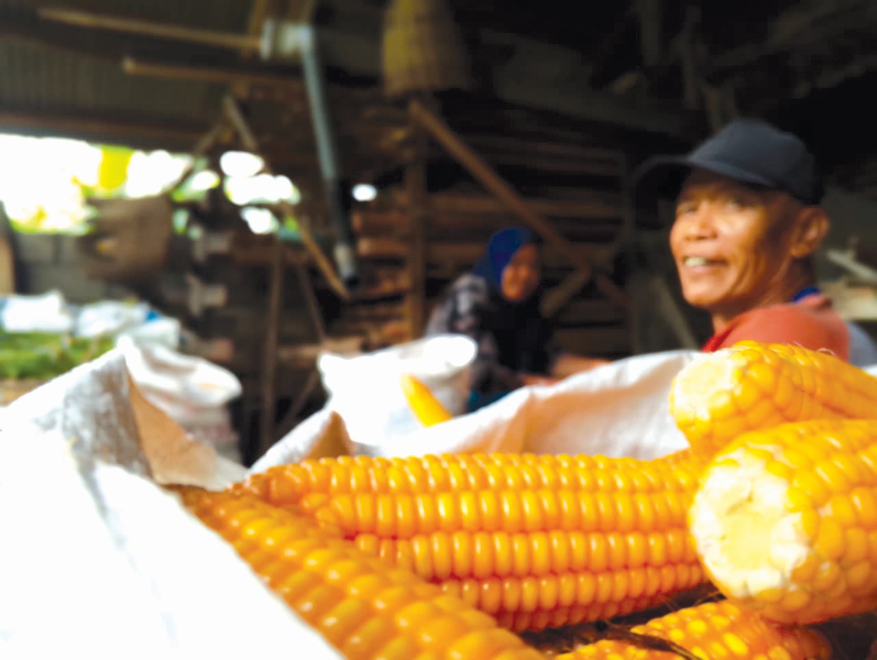SEMRINGAH: Petani di Kabupaten Blitar tengah mengupas hasil panen jagung tahun ini.