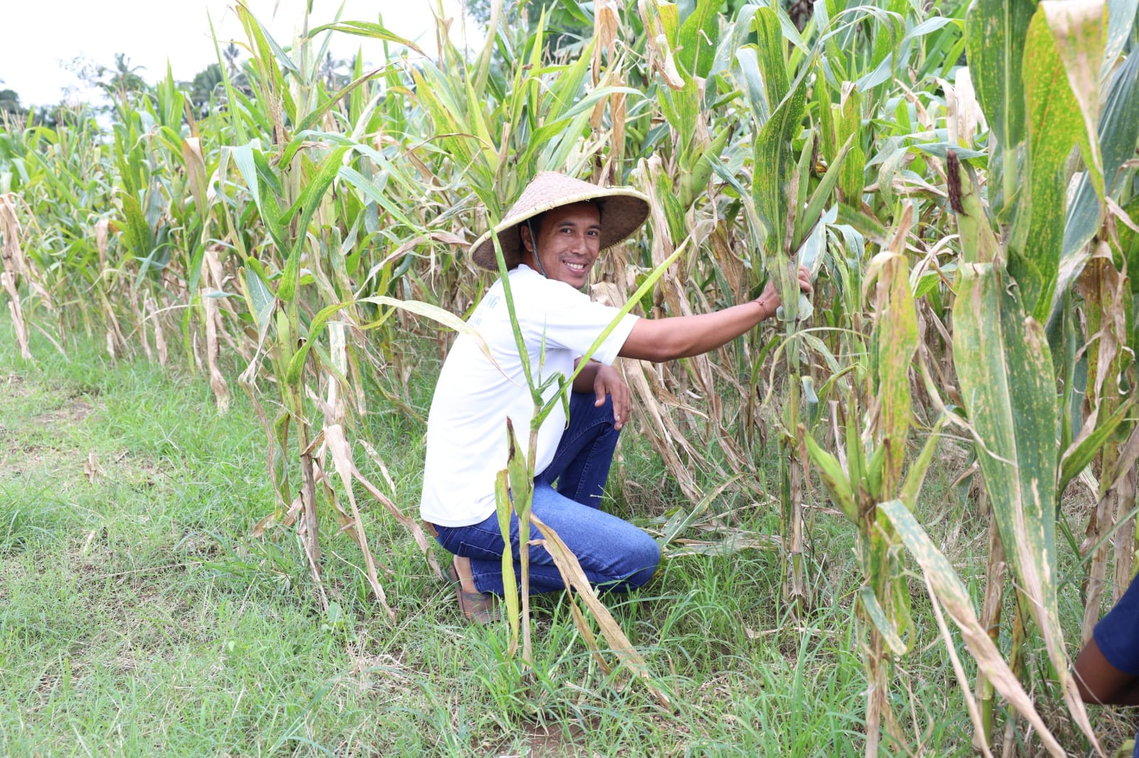 Reforma Agraria di Desa Soso Blitar Dorong Regenerasi Petani Muda dan Inovasi Pertanian