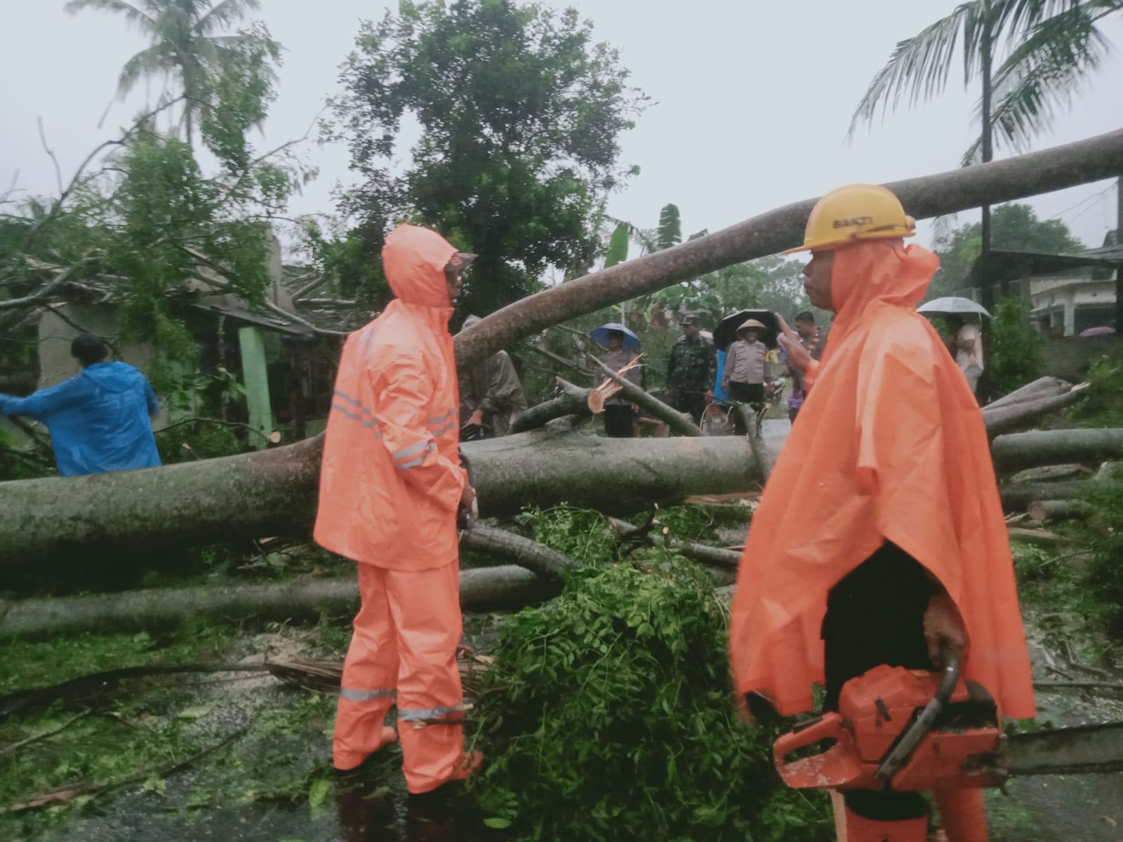 SIGAP: Petugas BPBD Kabupaten Blitar ketika memotong pohon yang tumbang usai terkena angin kencang beberapa waktu lalu.