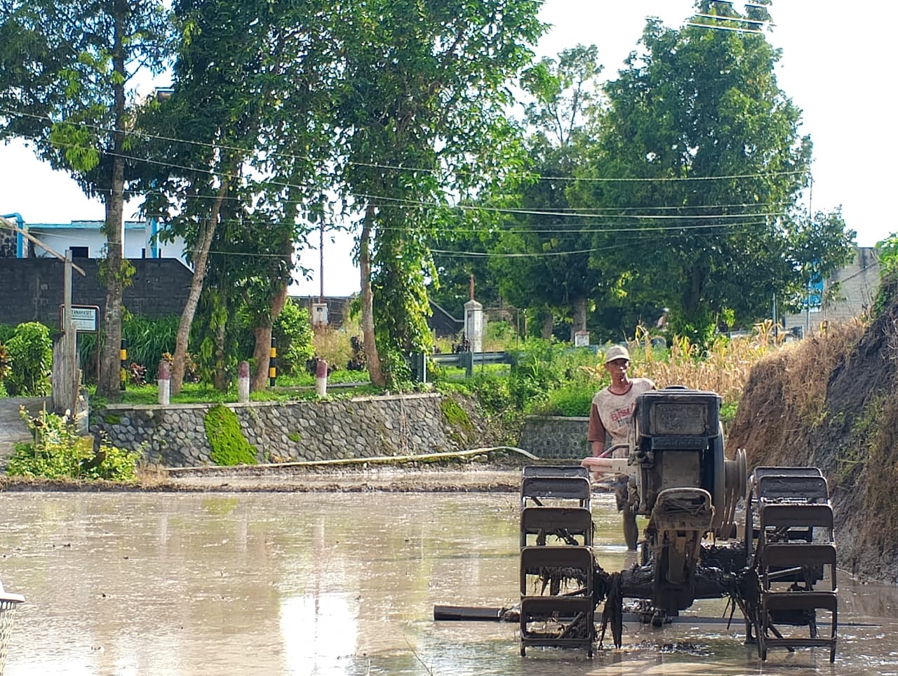 LUAS: Petani sedang mempersiapkan proses menanam padi untuk menjaga pasokan pangan di Kabupaten Blitar.