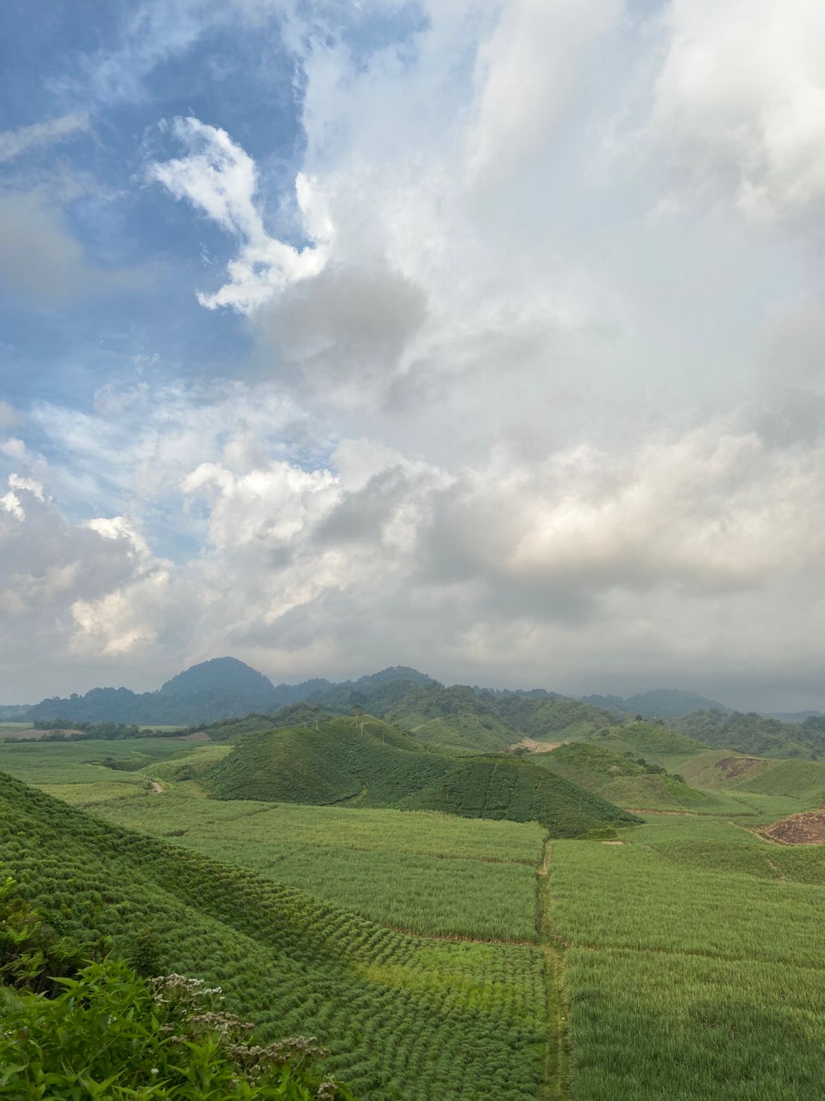 &lrm;SUBUR: Bukit Teletubbies di Desa Sumberasri, Kecamatan Nglegok, tampak semakin hijau setelah lama ditinggalkan.