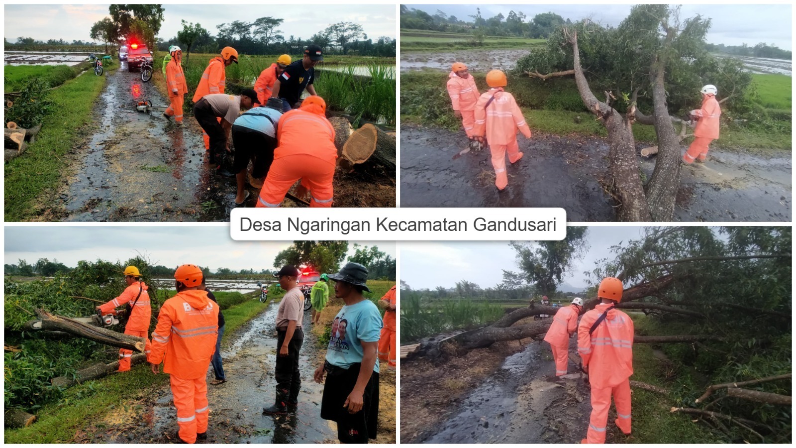 PENANGANAN CEPAT: Tim BPBD Kabupaten Blitar melakukan evakuasi pohon tumbang di lokasi kejadian.