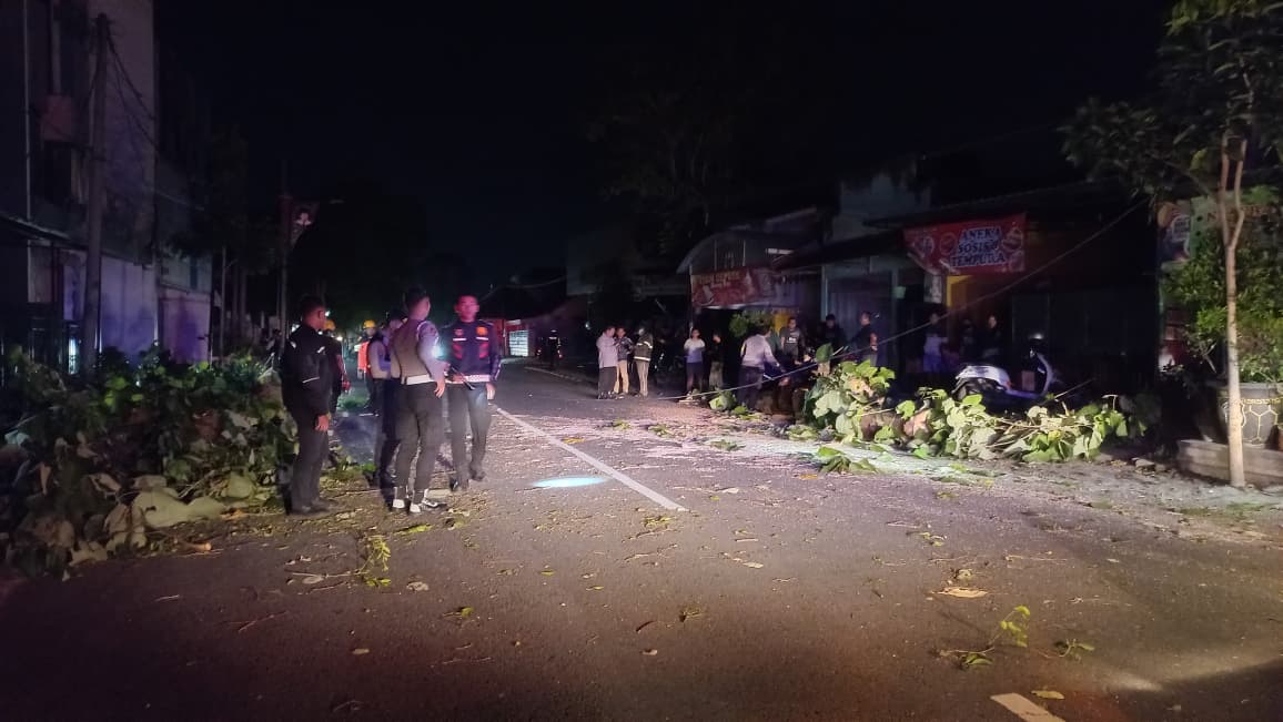 Pohon Tumbang Rusak Sejumlah Fasum  Dampak Angin Kencang, Listrik Padam  Waspada Cuaca Ekstrem hingga Akhir Januari