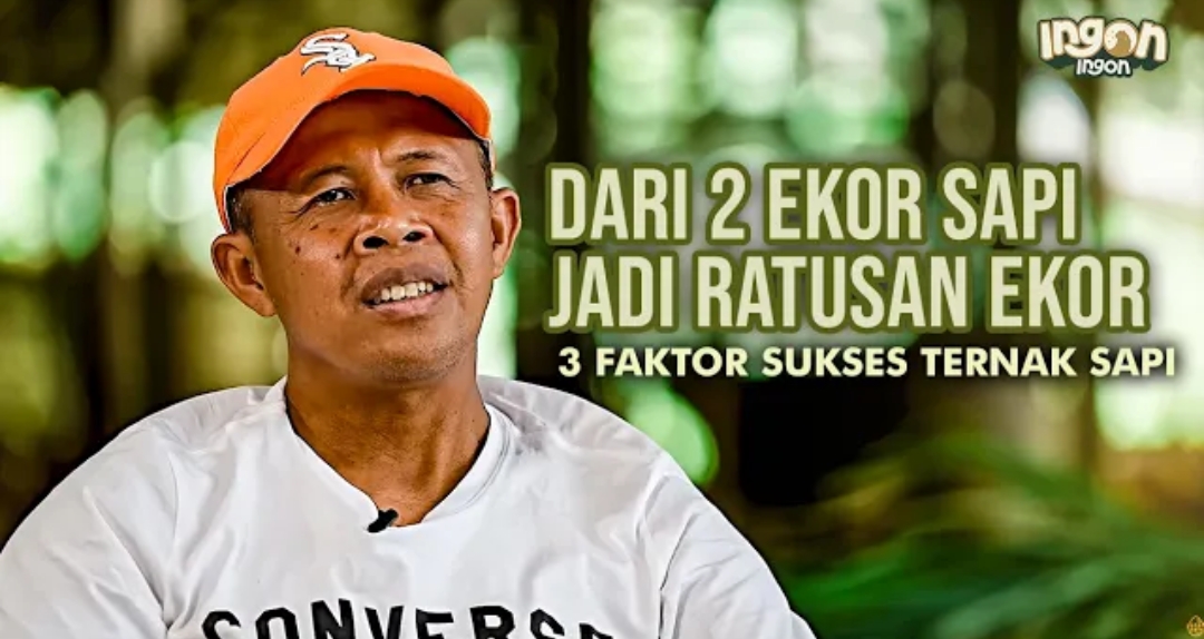 Sukses ternak sapi Blitar bermula dari sepeda ontel. Kisah peternak bangkit lewat ketekunan, manajemen pakan, dan doa orang tua
