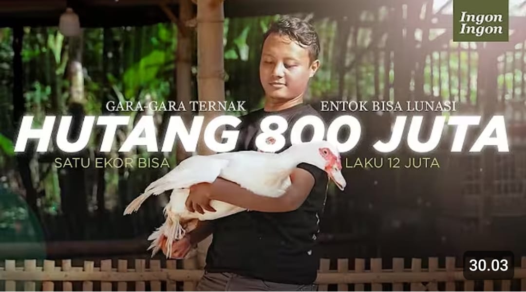 Kisah sukses bisnis entok jumbo Blitar, dari krisis Covid hingga jual entok Rp12 juta per ekor dengan strategi pasar konsumsi dan penghobi.