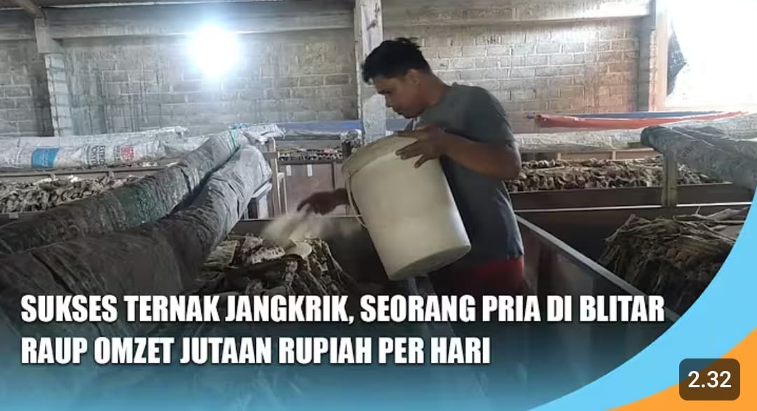 Ternak jangkrik Blitar jadi ladang cuan. Purwanto sukses raup omset Rp10 juta per hari hanya dari lahan belakang rumah.