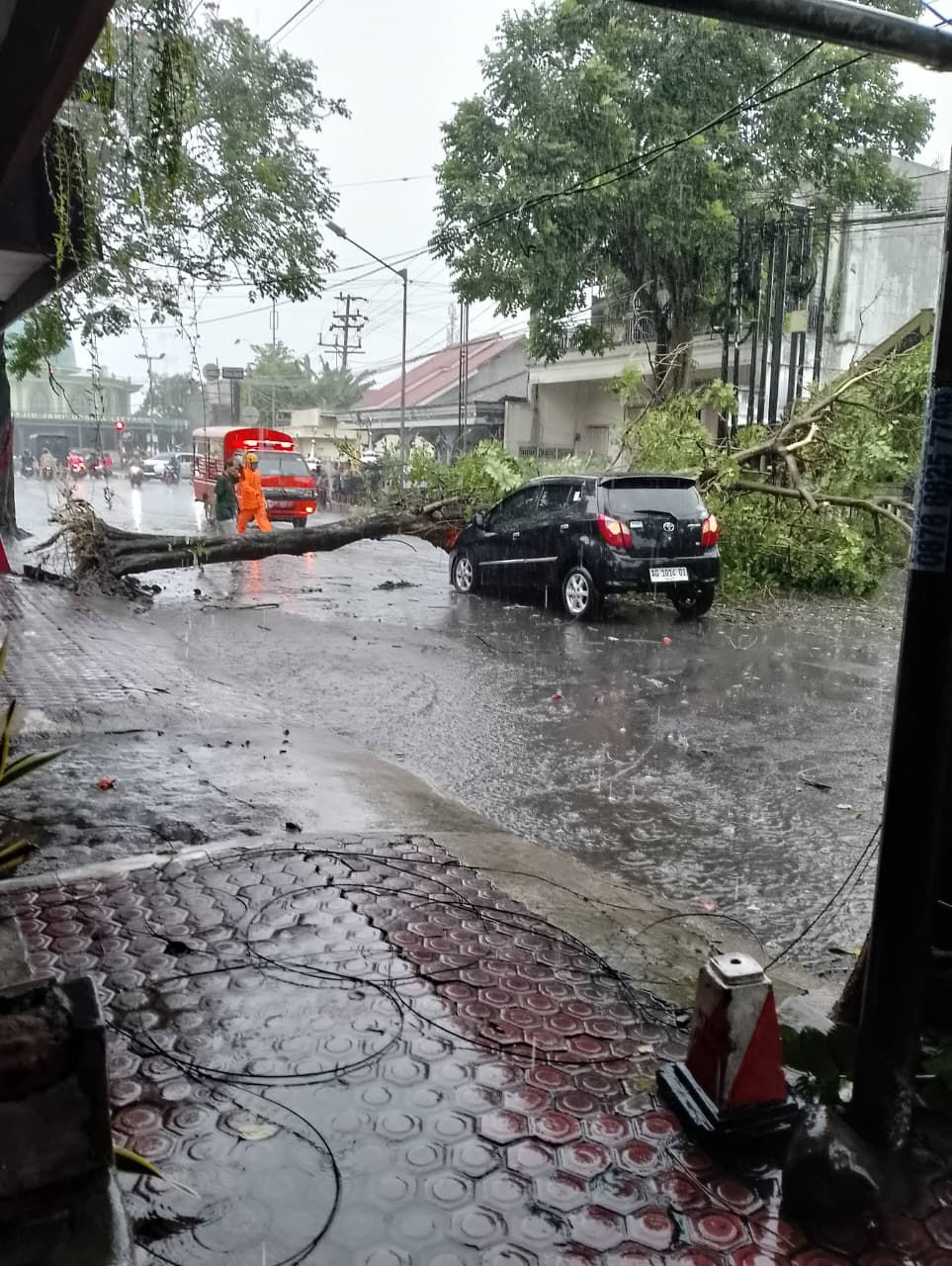 Hujan-Angin, Pohon Tumbang Timpa Mobil Lalu Lintas Sempat Macet
