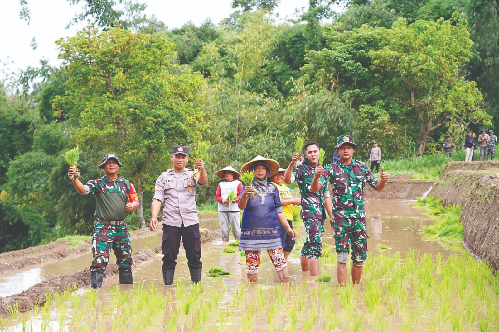 Dukung Program Unggulan Kasad, TNI-Warga Tanam Padi Bersama Berbagai kegiatan satuan tugas (Satgas) TNI Manunggal Membangun Desa (TMMD) ke-127 mulai dirasakan masyarakat. 