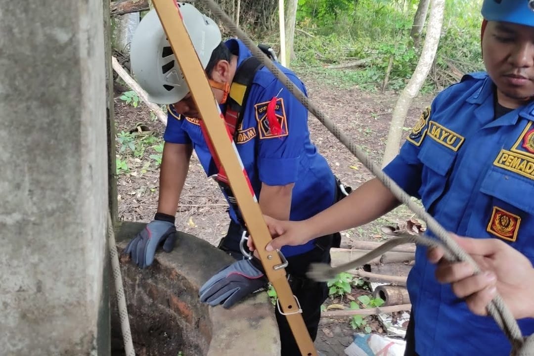 Petugas Pemadam Kebakaran (Damkar) Kabupaten Blitar tidak hanya menangani kebakaran, tetapi juga sering melakukan penyelamatan hewan, salah satunya kucing.