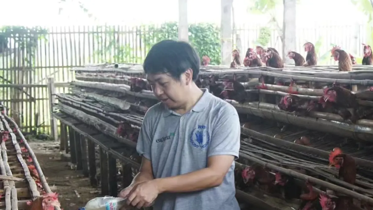 DIJAGA: Peternak ayam sedang menjaga suhu kandang agar hewan ternak tetap terjaga kesehatannya.