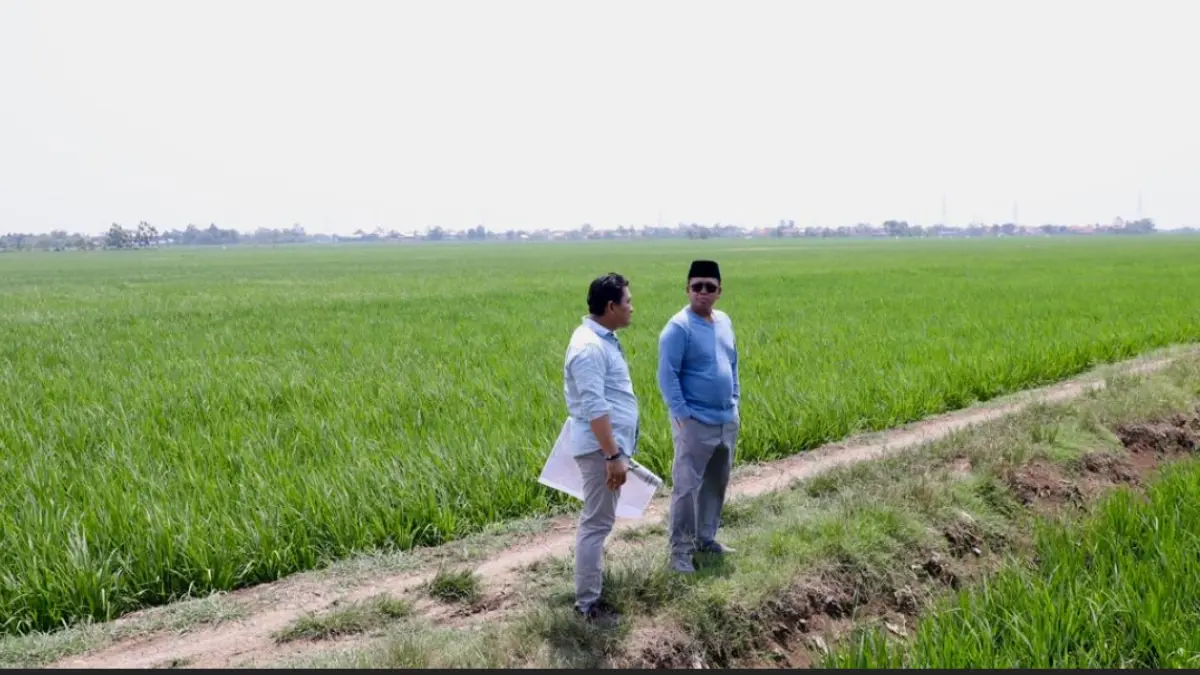 Menteri Nusron Wahid sidak kawasan industri Indramayu. Pastikan lahan sawah dilindungi (LSD) aman demi ketahanan pangan nasional. Cek detailnya!