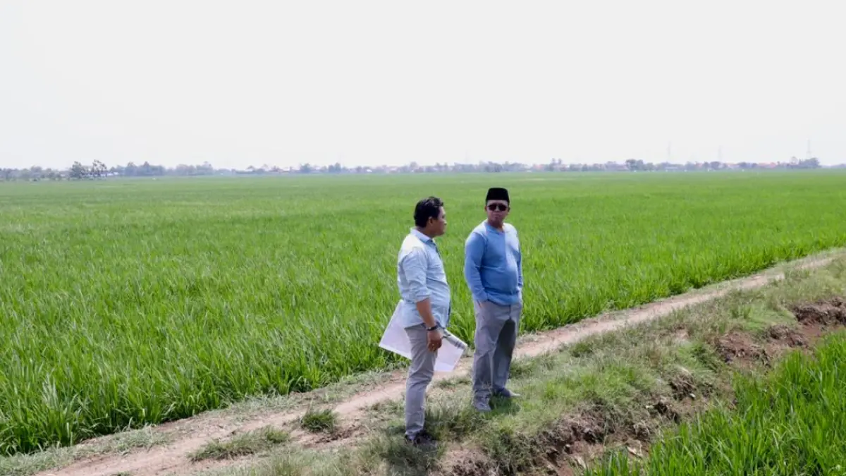 Menteri Nusron Wahid tinjau industri Indramayu, pastikan lahan aman dari status Lahan Sawah Dilindungi (LSD). Cek kepastian hukum investasi di sini!