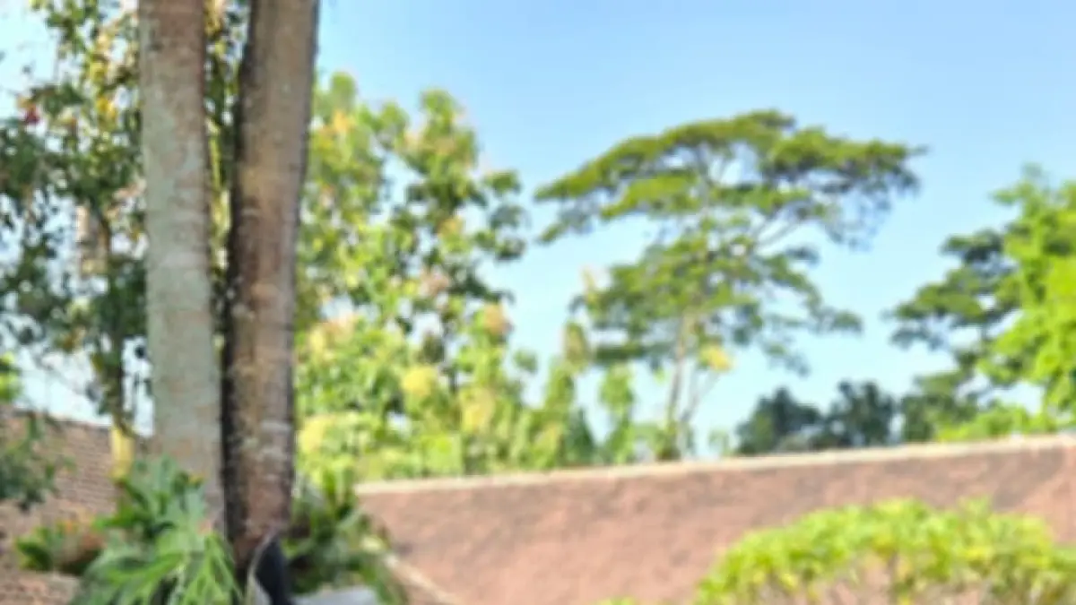 Pemicu tekanan mental remaja sangatlah kompleks, mulai dari isu&nbsp;bullying (perundungan), cyberbullying, pengucilan, hingga masalah percintaan yang mendalam.