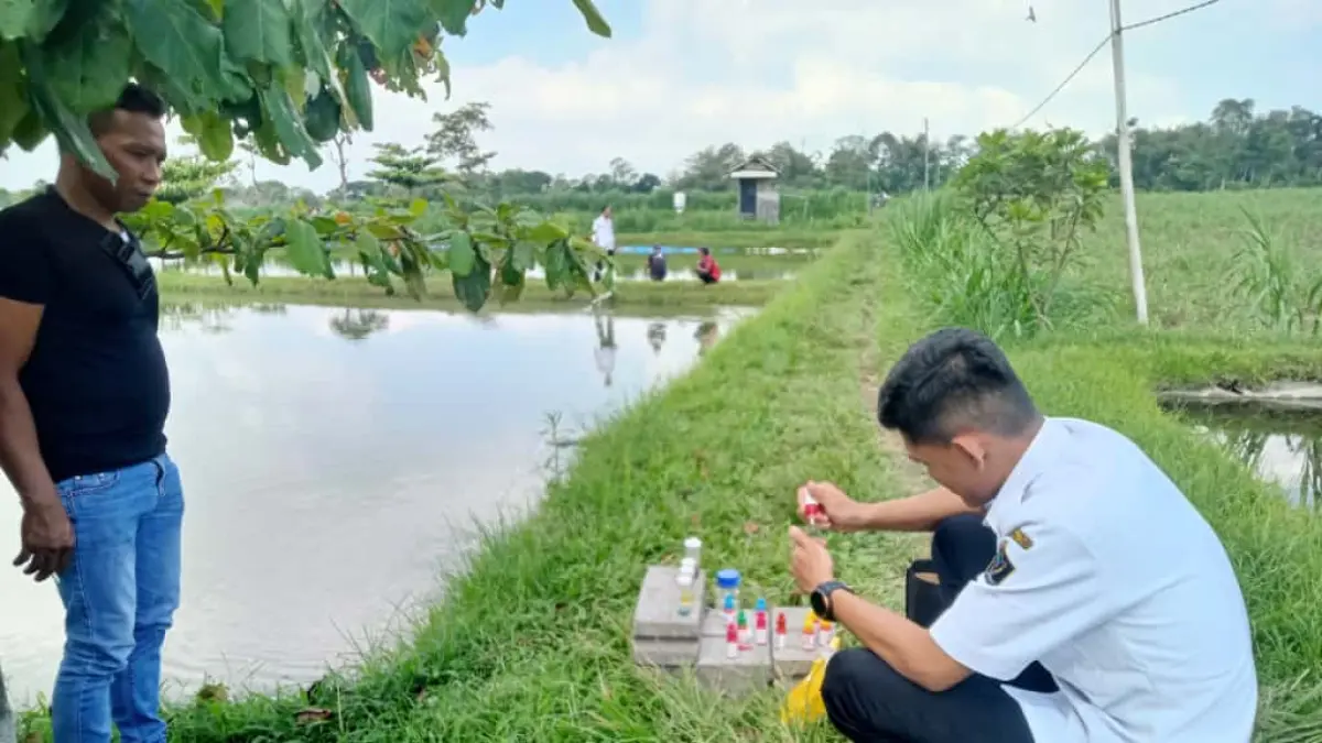 DISNAKKAN KABUPATEN BLITAR UNTUK RADAR PENATARAN - DIPASTIKAN: Petugas disnakkan mengecek kualitas air kolam ikan budi daya milik salah seorang peternak.
