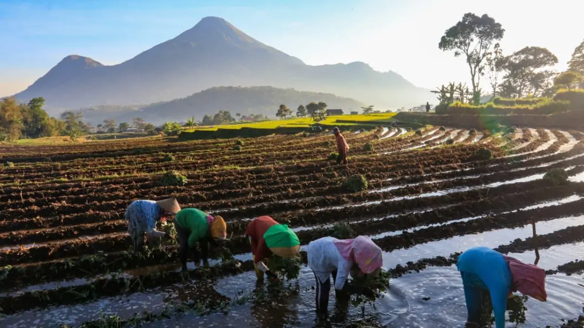BRI terus memperkuat perannya melalui Penyaluran kredit berorientasi pada keberlanjutan (sustainability), yang mencakup pembiayaan UMKM serta dukungan terhadap sektor ramah lingkungan.