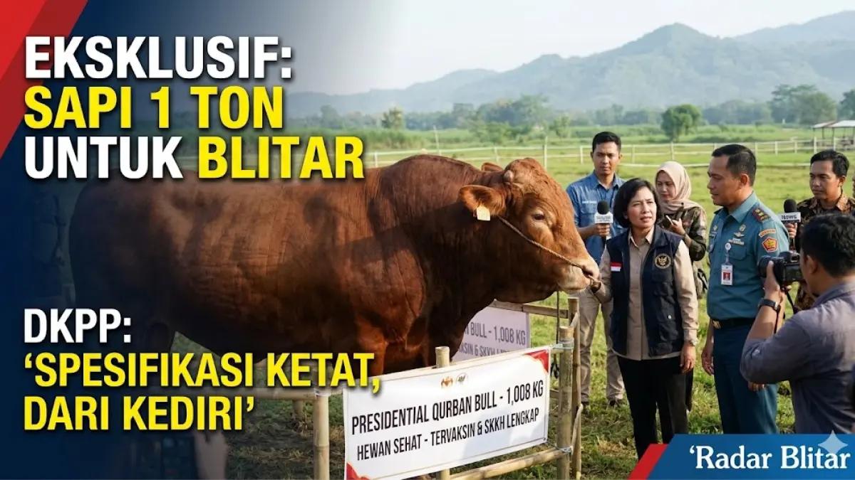 Bantuan Kurban Presiden dari Kediri
Sapi Blitar Tak Penuhi Kriteria

