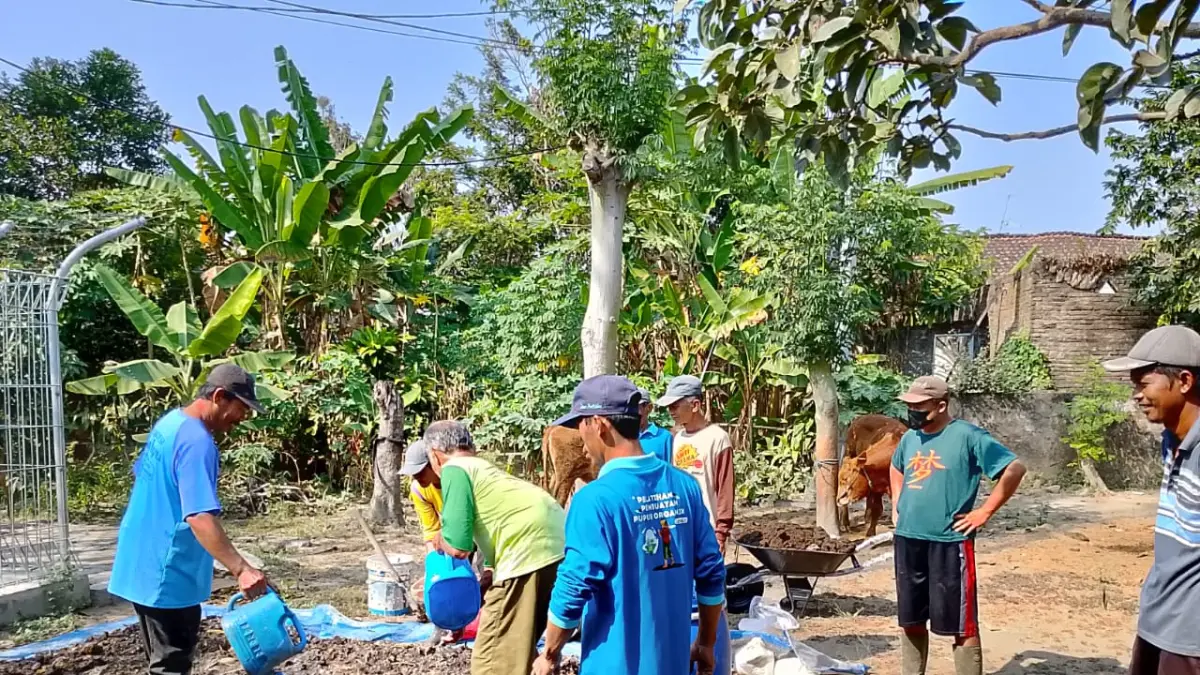 Ikhtiar Petani Hadapi Dampak El Nino 2026
Siasat Pupuk Kohe-Sekam Tak Cukup Redam Ancaman Keleringan

