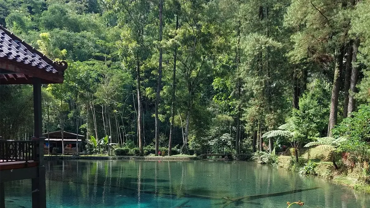 Kunjungi Situs Rambut Monte Blitar, hidden gem dengan kolam air jernih, Ikan Dewa mistis, dan candi kuno. Cek lokasi dan daya tariknya di sini!(Pinterest)