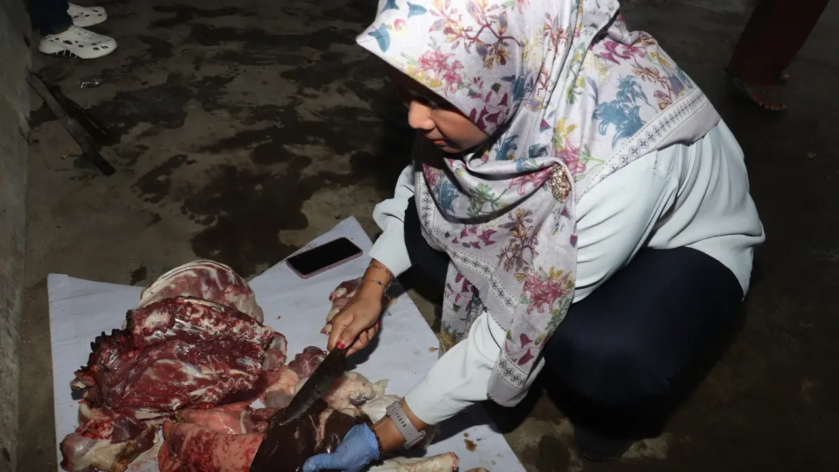 218 Ekor Hewan Kurban Ditemukan Cacing Hati 
Hasil Pemeriksaan Petugas Keswan di Hari Kedua
