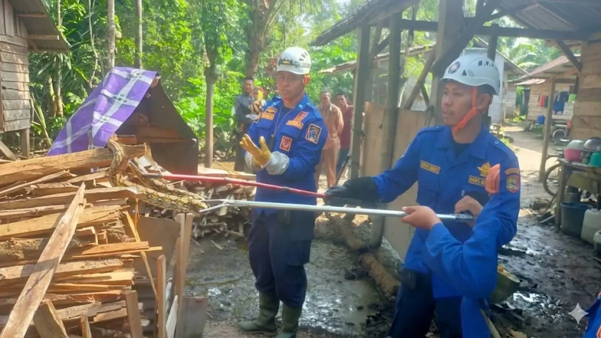 Kanigoro Dominasi Laporan Evakuasi Ular
Triwulan Pertama Tercatat Puluhan Kasus 

