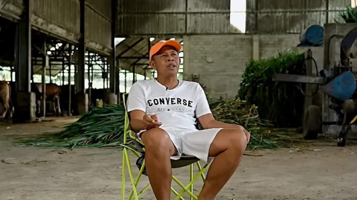 Peternak sapi Blitar ungkap rahasia sukses membangun usaha dari modal kecil hingga miliki ratusan ekor sapi. (SC YOUTUBE)