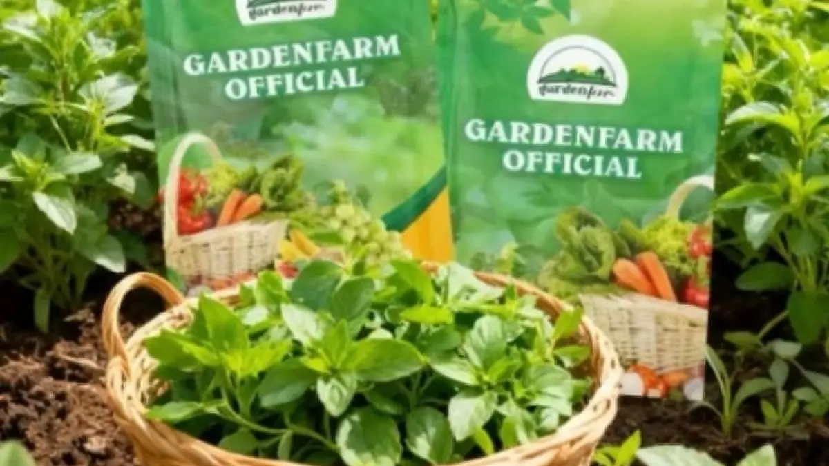Usaha pertanian kemangi modal kecil tapi hasil menjanjikan. Panen harian dan cuan jutaan dari lahan sempit. (PINTEREST)