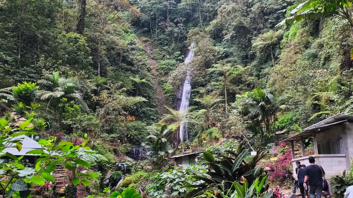 DIAN AKBAR PRATAMA/RADAR BLITAR 
SEJUK: Air Terjun Sirah Kencong menjadi salah satu destinasi di Perkebunan Teh Sirah Kencong. 
