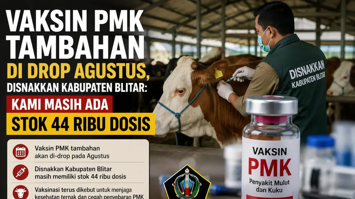 DISNAKKAN KABUPATEN BLITAR UNTUK RADAR PENATARAN
AMAN: Jumlah vaksin PMK milik Disnakkan Kabupaten Blitar masih mencukupi
