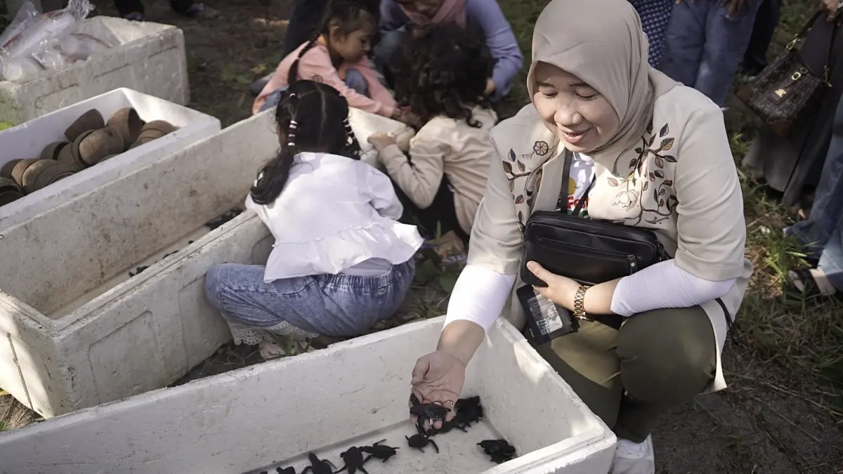 Sejumlah penyu yang dibudidayakan oleh warga pesisir Pantai Jolosutro, Kecamatan Wates, Kabupaten Blitar. 