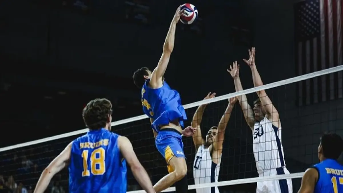 Final AVC Men