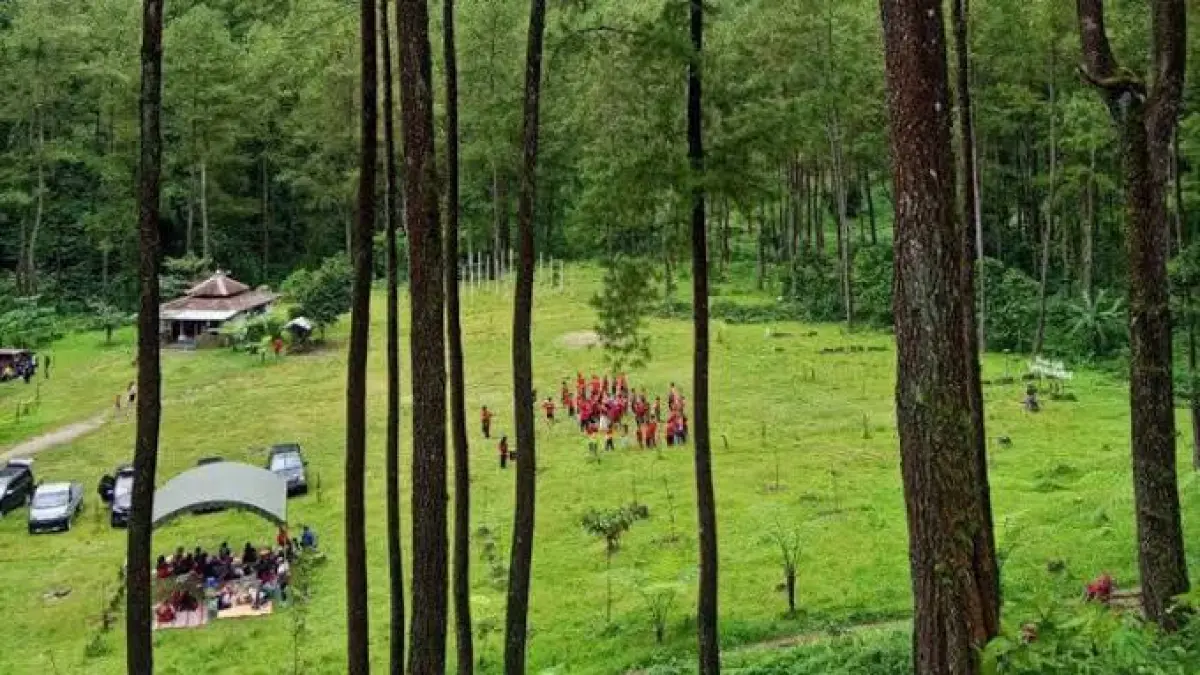 Hutan Pinus Loji