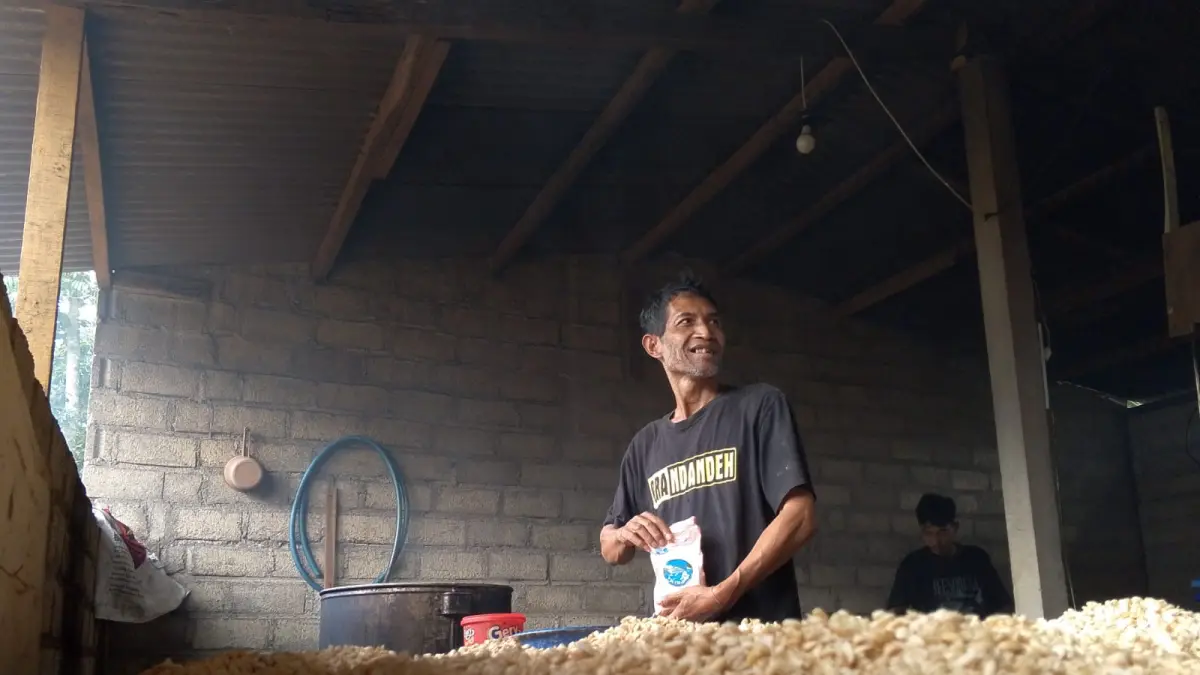 ULET: Nasruddin dengan dibantu pekerjanya memproduksi tempe setiap hari untuk memenuhi kebutuhan pangan di masyarakat.