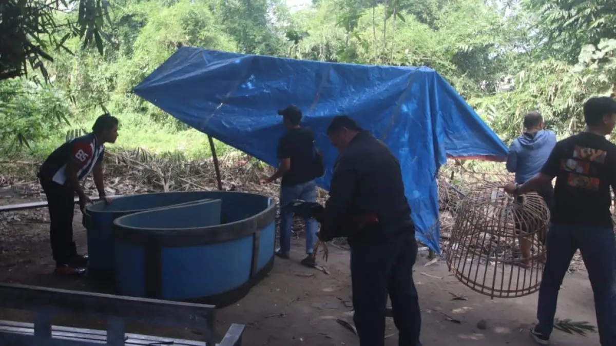 Polres Blitar Kota menertibkan arena sabung ayam yang diduga menjadi lokasi praktik perjudian di wilayah Kecamatan Ponggok dan Srengat sebagai tindak lanjut laporan masyarakat.