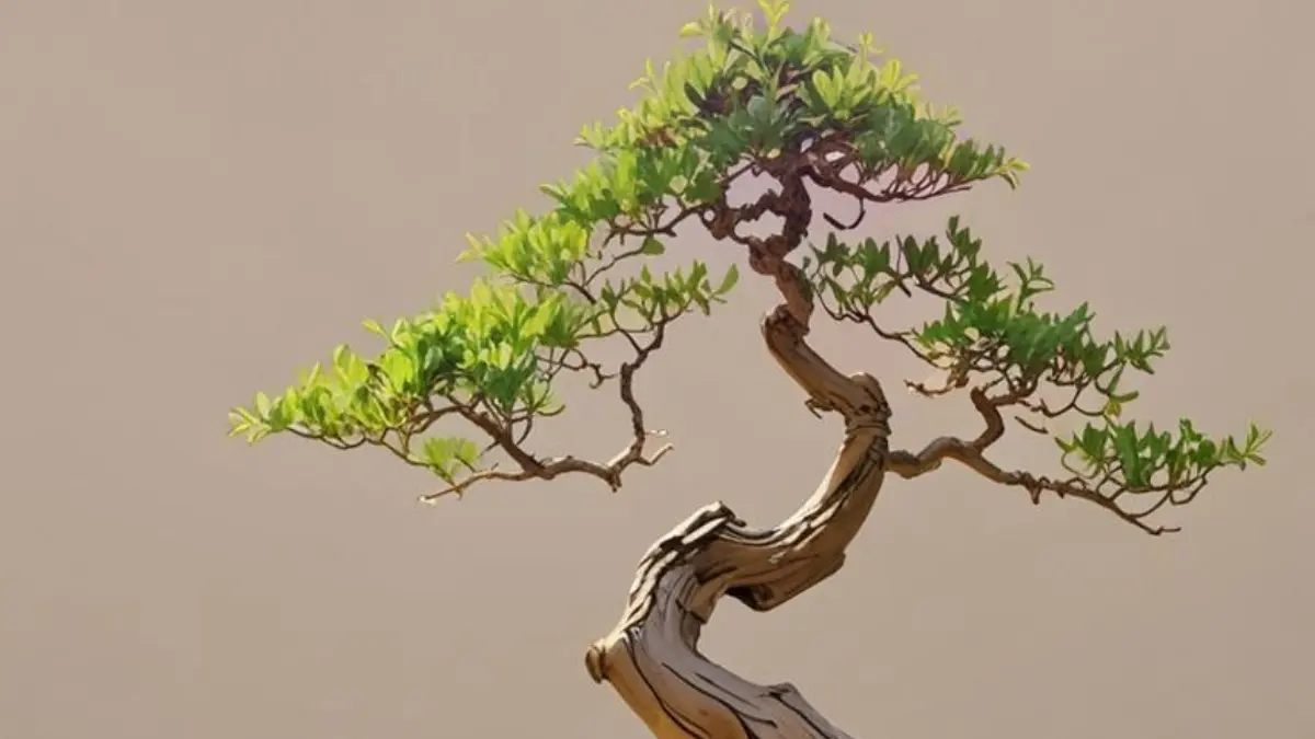 Tertarik dengan Bonsai Serut Terbaru? Intip ulasan pameran nasional yang menampilkan keindahan tanaman hias berkarakter unik dan berharga fantastis. (PINTEREST)
