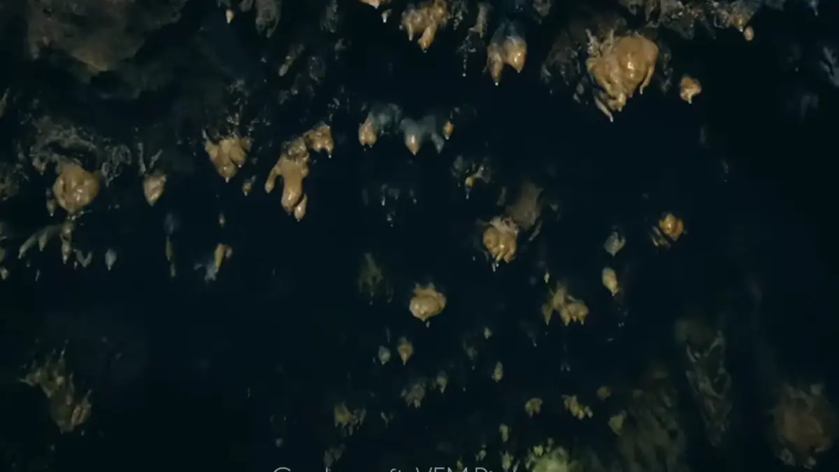 Misteri Goa Umbul Tuk di Blitar menarik perhatian lewat kisah pertapa berkulit putih dan lorong bawah tanah yang penuh tantangan. (Pinterest) 