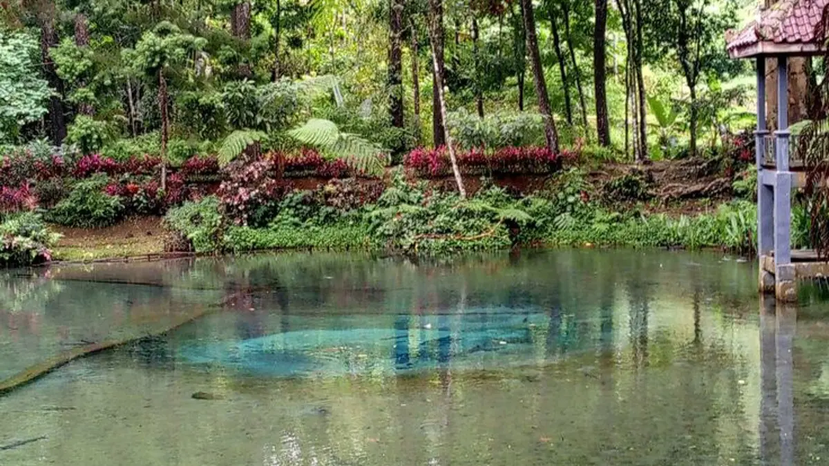 Telaga Rambut Monte Blitar menyimpan sejarah, mitos pesugihan, serta legenda ikan dewa sengkaring yang menjadi daya tarik wisata alam dan budaya. (Pinterest) 