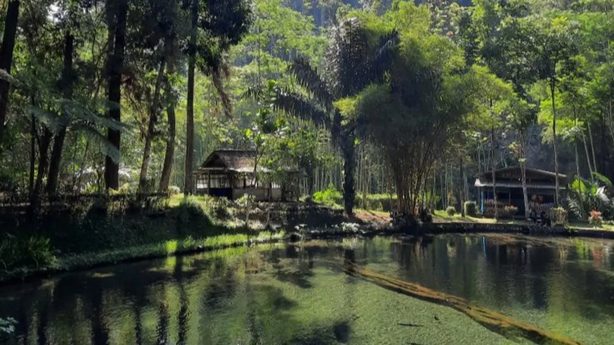 Telaga Rambut Monte di Blitar menyimpan sejarah, legenda ikan dewa sengkaring, serta mitos pesugihan yang masih dipercaya masyarakat. (Pinterest) 
