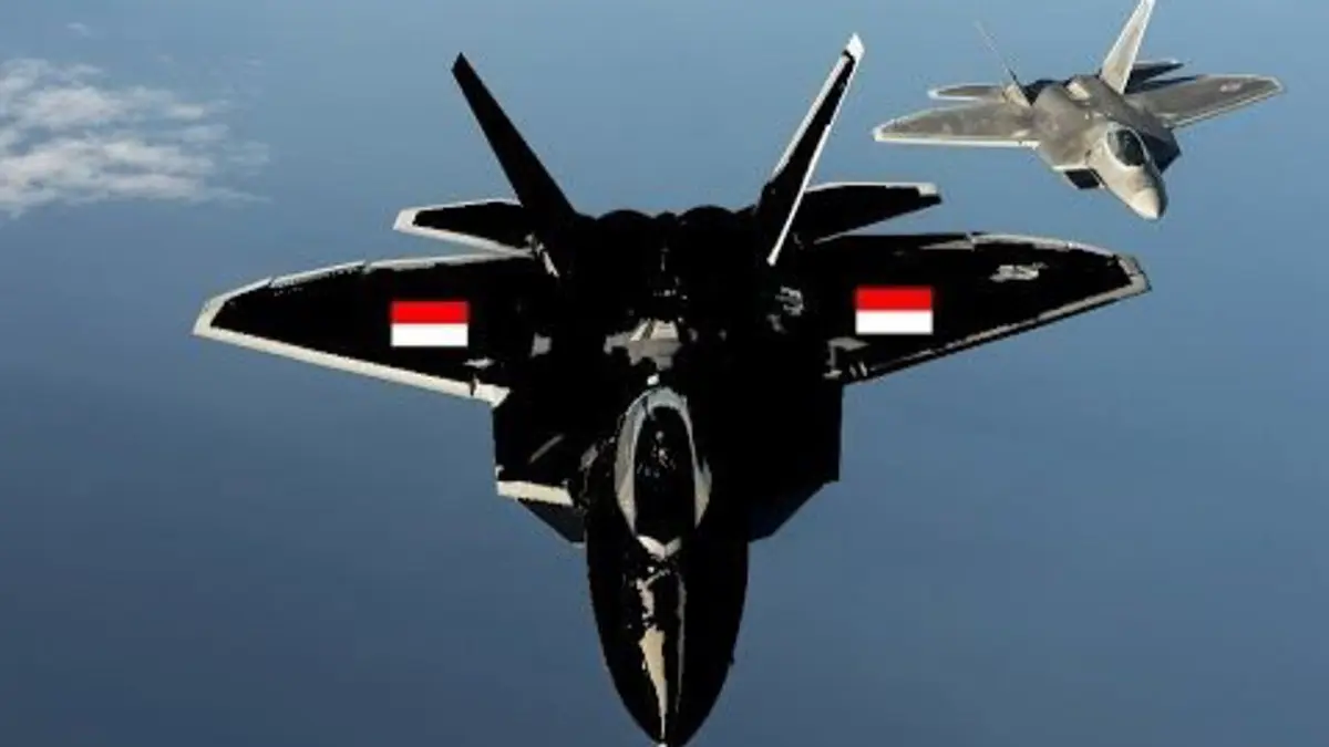 Cara kerja pesawat siluman dijelaskan mulai dari sistem radar, Radar Cross Section (RCS), hingga teknologi stealth aircraft yang sulit dideteksi. (Pinterest) 