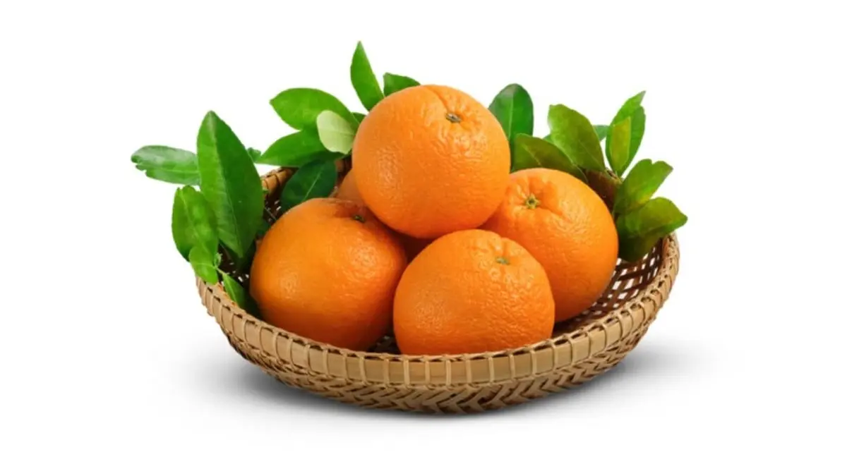 Manfaat buah jeruk untuk kesehatan tubuh, imunitas, dan jantung. Simak kandungan nutrisi, vitamin C, serta khasiatnya untuk pencernaan dan kulit sehat. (PINTEREST)