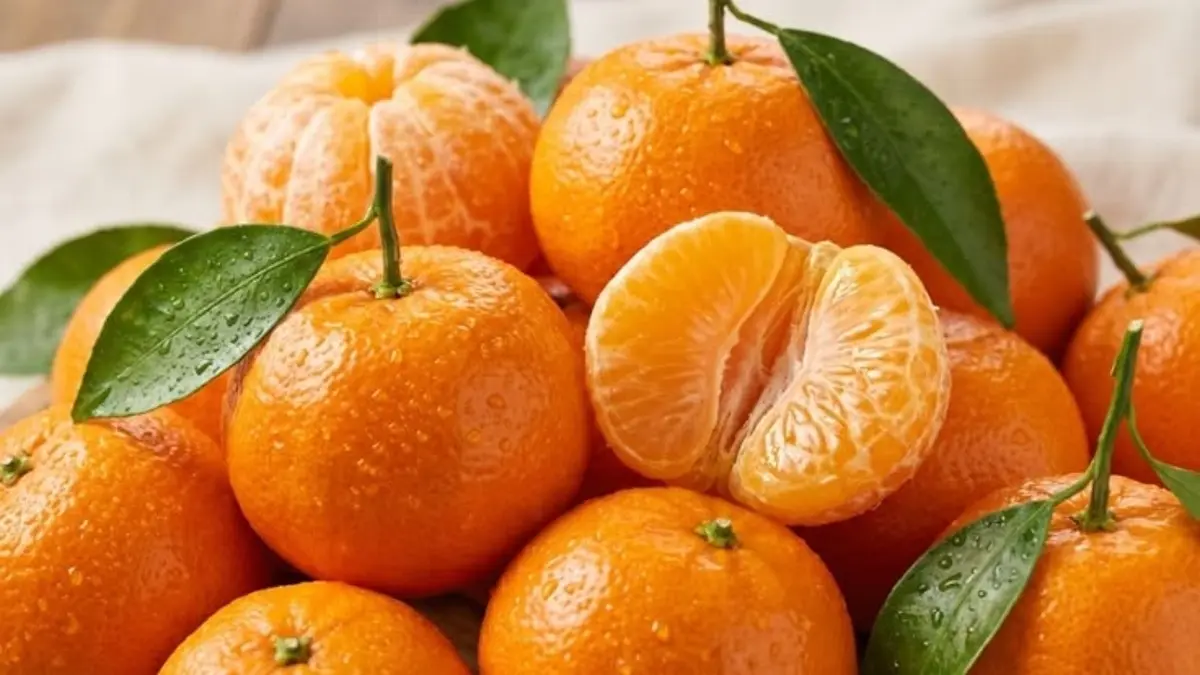 Manfaat buah jeruk untuk menurunkan tekanan darah, menjaga jantung, dan memperkuat imunitas. Simak keunggulan nutrisi lengkapnya di sini. (PINTEREST)