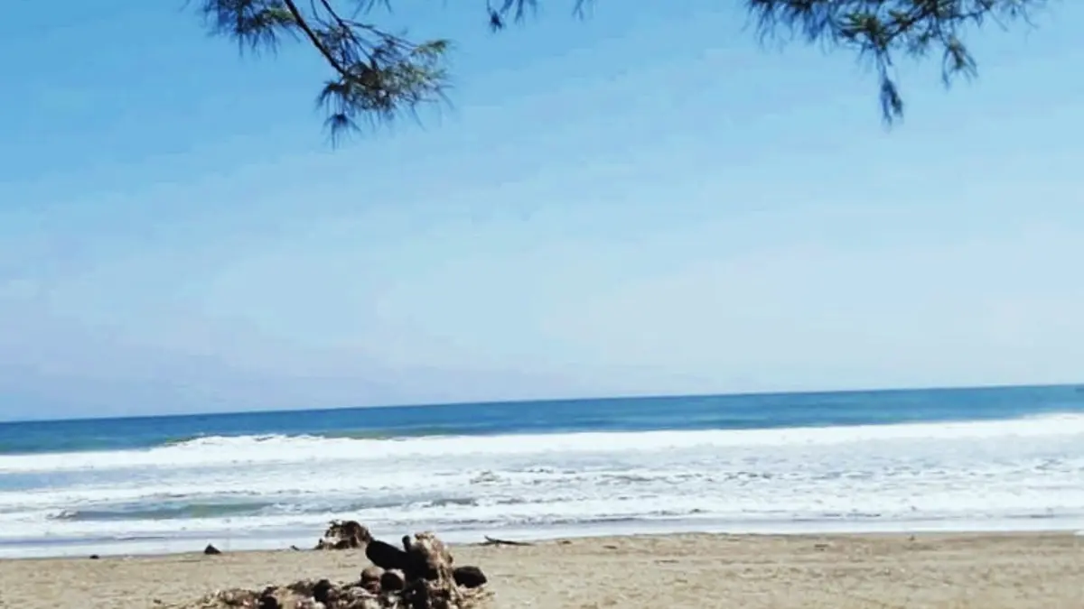 Pantai Serang Blitar menawarkan pasir eksotis, muara ramah anak, ATV, kuliner ikan bakar, camping ground, hingga festival budaya yang menarik untuk liburan keluarga. (PINTEREST)
