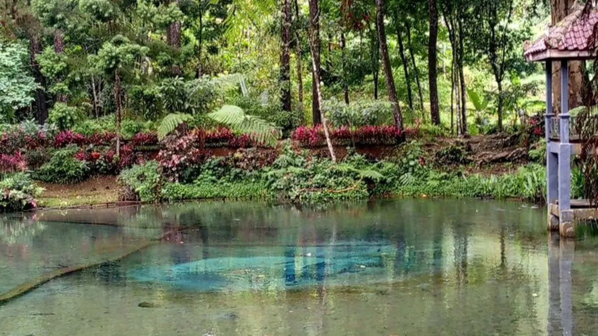 Situs Rambut Monte Blitar menghadirkan wisata sejarah dengan kolam mata air alami, candi peninggalan Hindu, dan ikan dewa yang dikeramatkan di tengah suasana hutan yang asri. (Pinterest) 