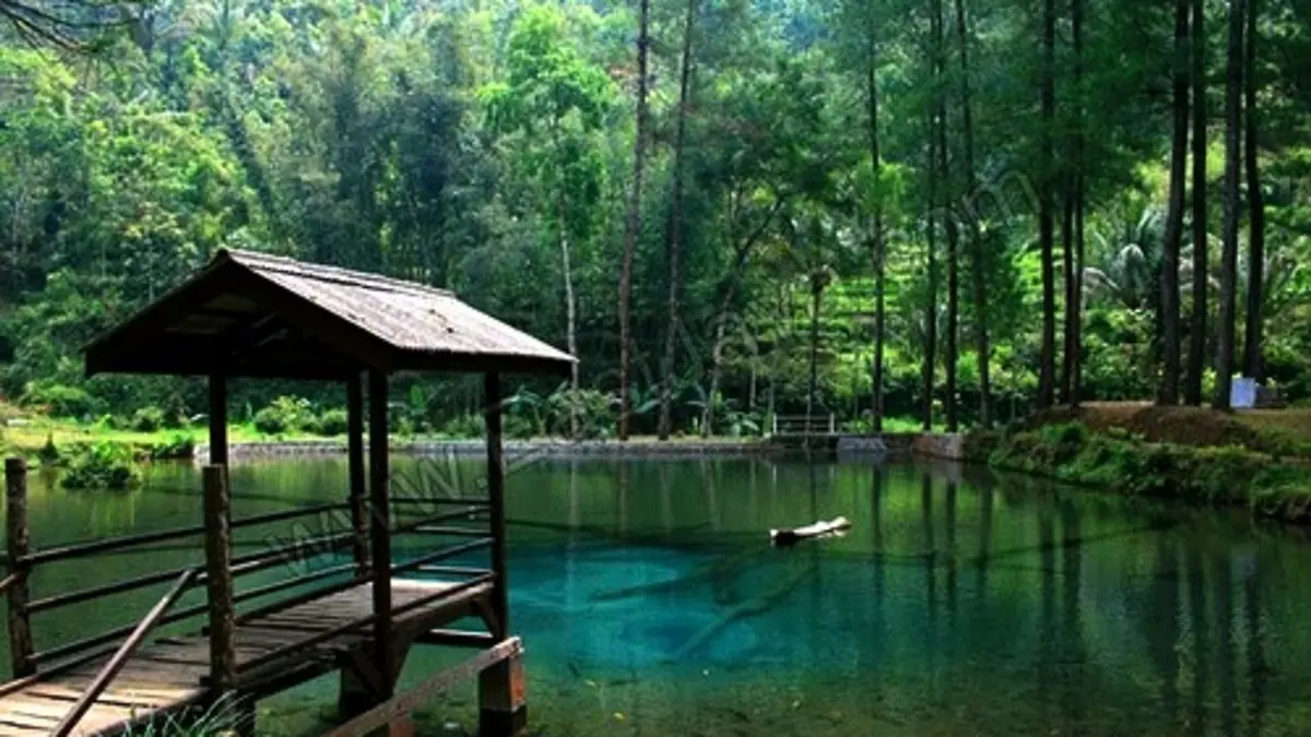Situs Rambut Monte di Blitar menawarkan kolam mata air jernih berisi ikan dewa serta candi peninggalan Hindu. Destinasi ini menjadi wisata sejarah yang unik dan penuh cerita. (Pinterest) 